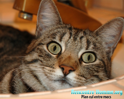 Rencontre homme Pour hommes murs